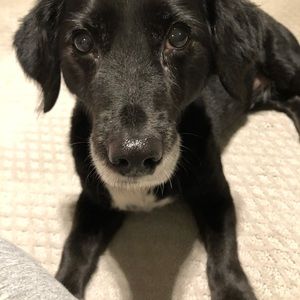 Meet your Posher, Melanie